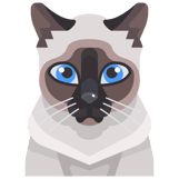 Isabella, Cat Boss