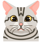 Sherman