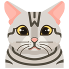 Sherman