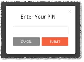 Image showing the PIN prompt in the eTailPet system.