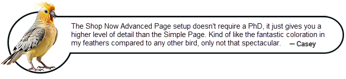 casey - shop now advanced page setup