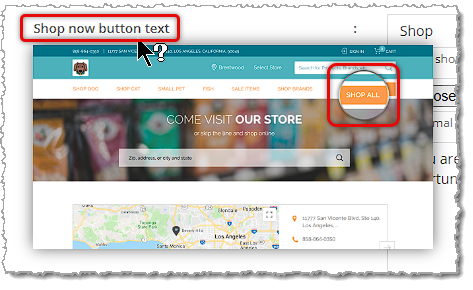 Image showing the hover preview available for settings on the Custom Content page of the eTailPet system.