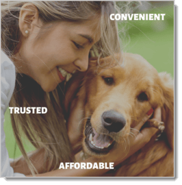 Image of an example for a Description Image in an Image Content Page.