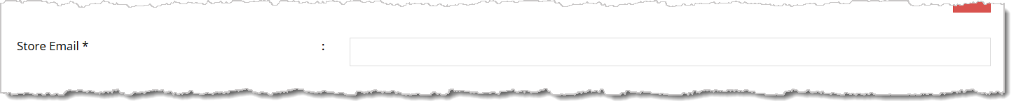 Image of the Store Email field in the Edit Store Details menu.