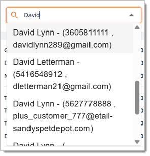 Image of the Customer Search Bar with the name "David" in it. Matching results appear below this.
