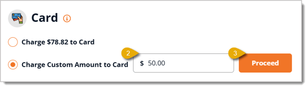 Image highlighting the fields to click on to charge a custom amount in New Sale.