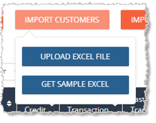 Image showing the Import Customers functions on the Customers page of the eTailPet system.