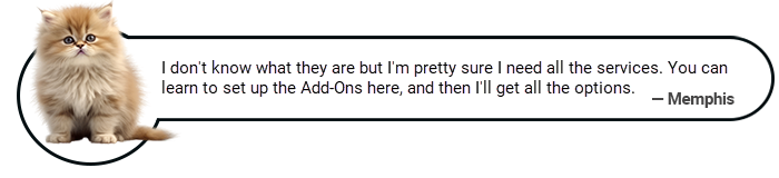 memphis - add-on services