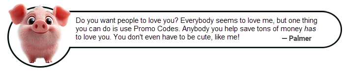 palmer - apply a promo code in new sale