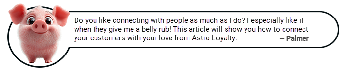 palmer - astro loyalty customer connection