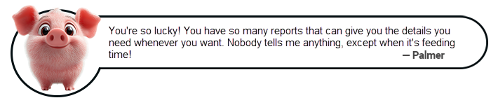 palmer - reports