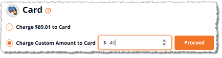 Image showing a custom amount in the Card payment area of the Payment panel in the eTailPet system.