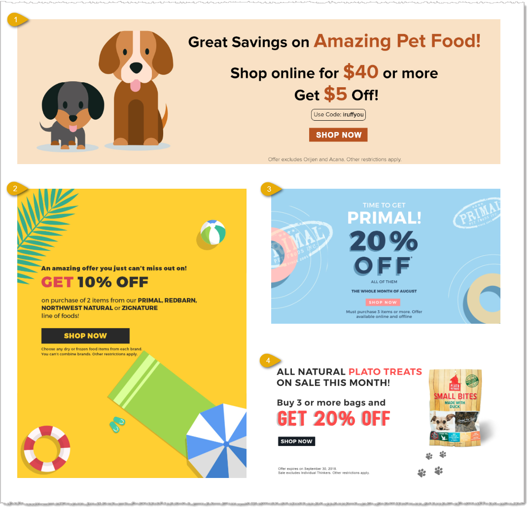 Image showing simple Shop Now page layout on a eTailPet storefront website.